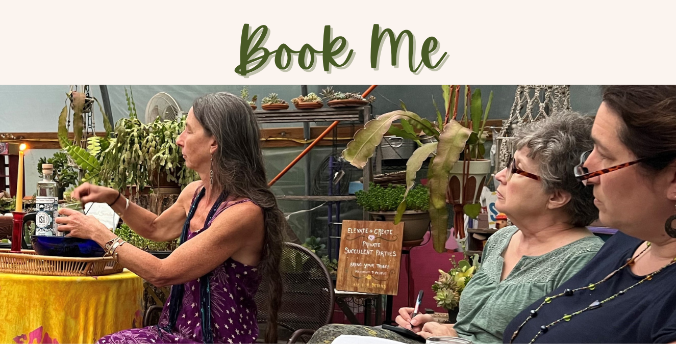 Book Me Final Book Me Final