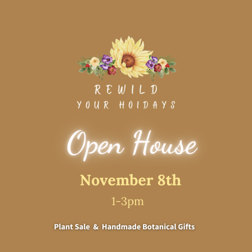 Holiday Open houses (2)