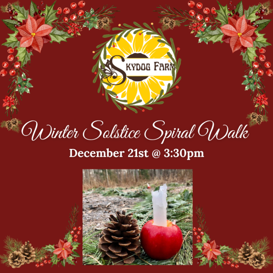 Solstice walk 2025 (1)