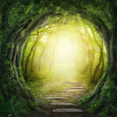 bigstock-Road-in-magic-dark-forest-54007459